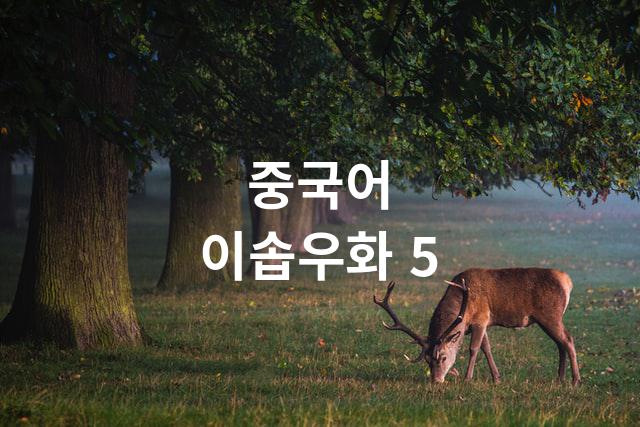  중국어 이솝우화 5