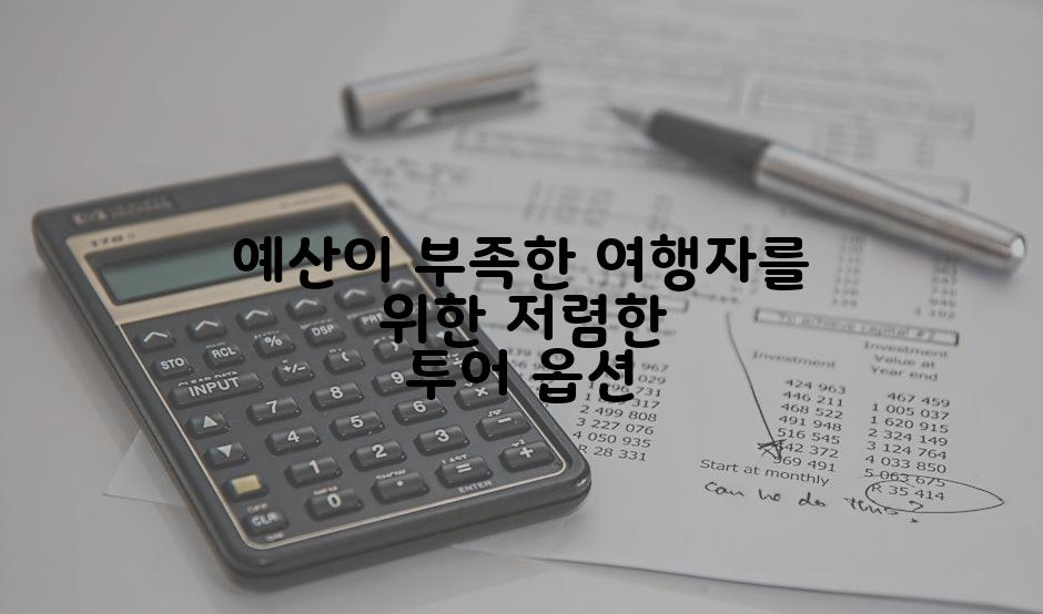 예산이 부족한 여행자를 위한 저렴한 투어 옵션