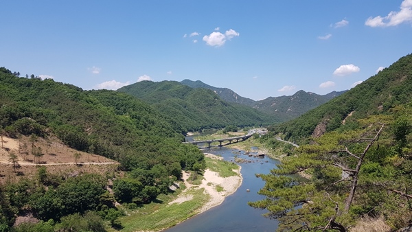 금산 월영산 출렁다리