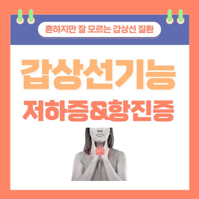  갑상선 기능 저하증과 갑상선 기능 항진증 완전 정리!