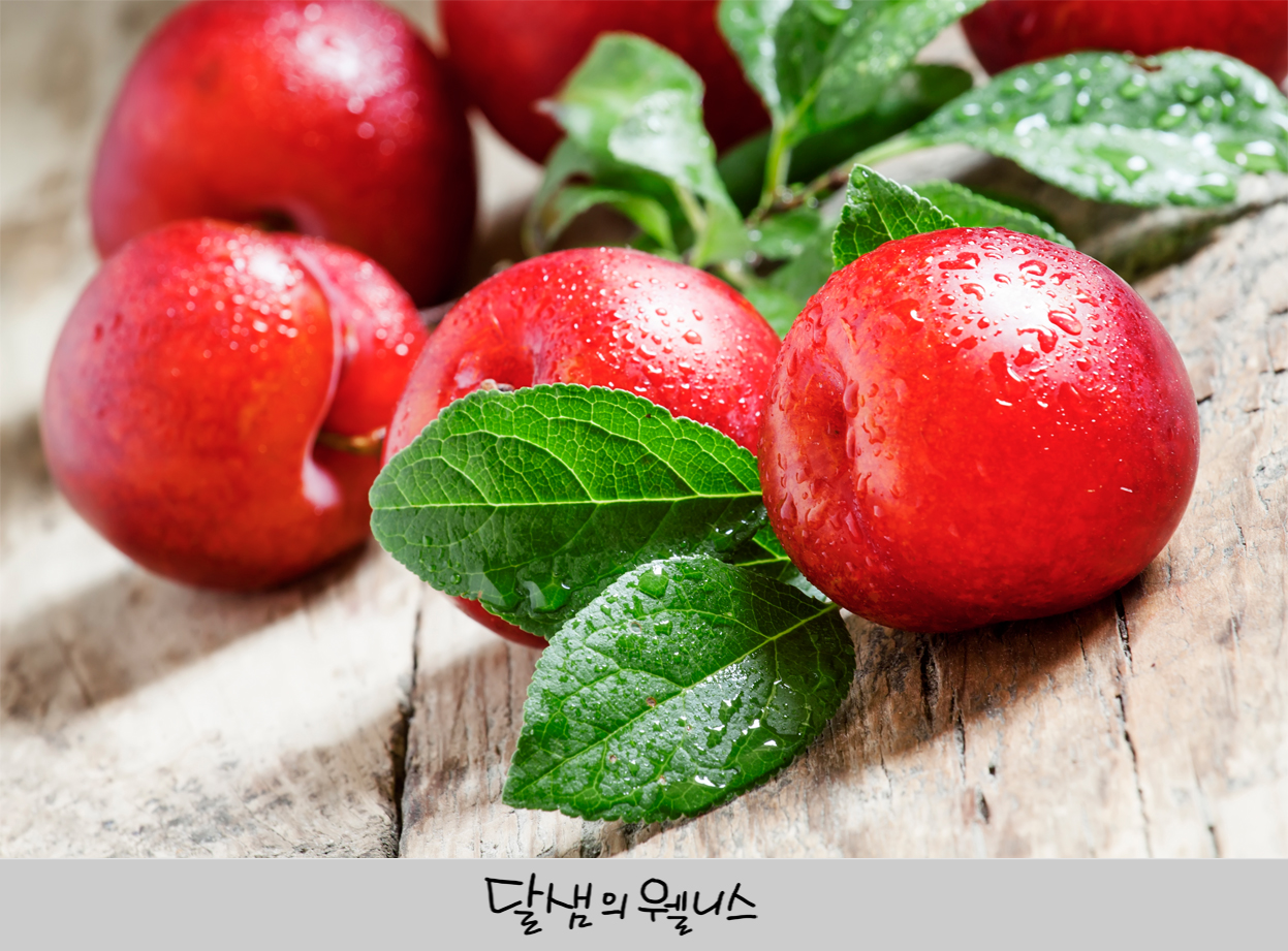 93푸드 이미지