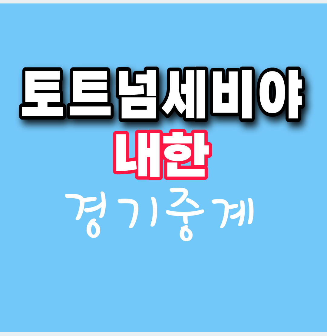  토트넘 세비야 내한경기 tv중계방송
