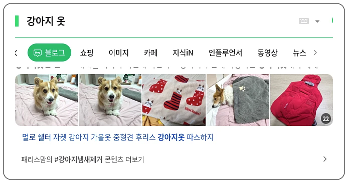 강아지 옷_1_subsection