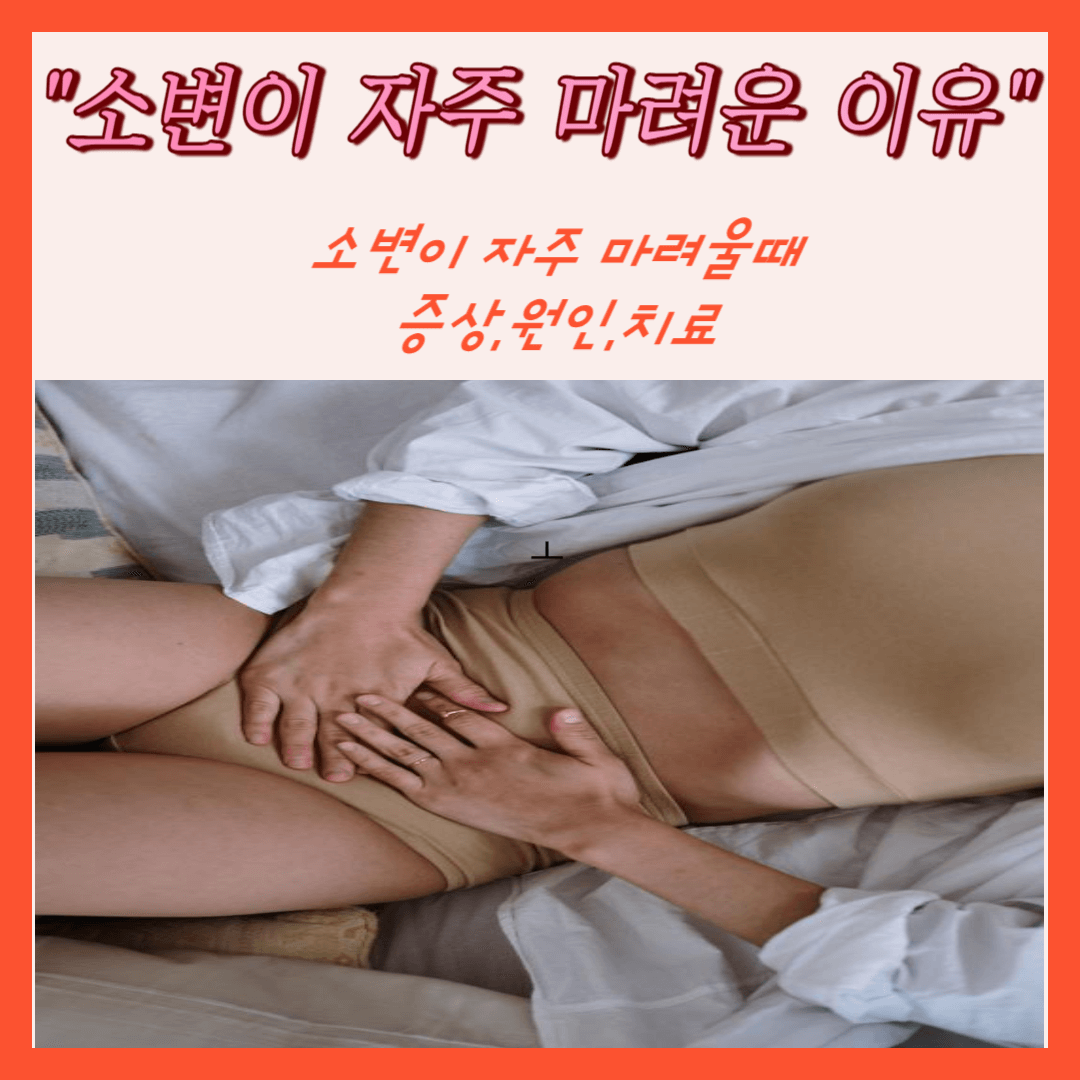 소변이 자주 마려운 이유