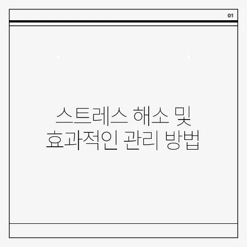 스트레스 해소 및 효과적인 관리 방법