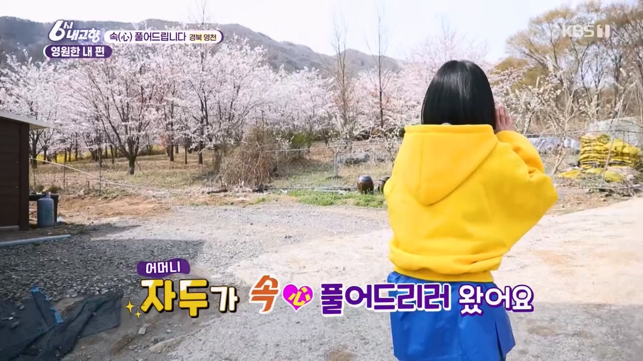 6시 내고향.E7763.230411p.H264-F1RST.mp4_20230411_203313.590.jpg