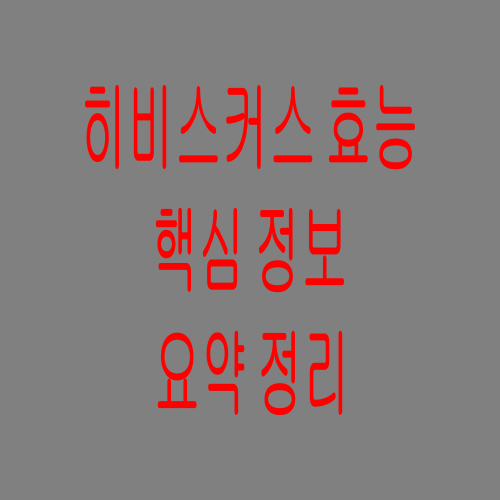 히비스커스 효능 핵심만 확실하게 기억하세요