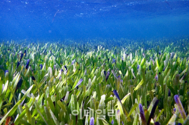 큰세계 이미지