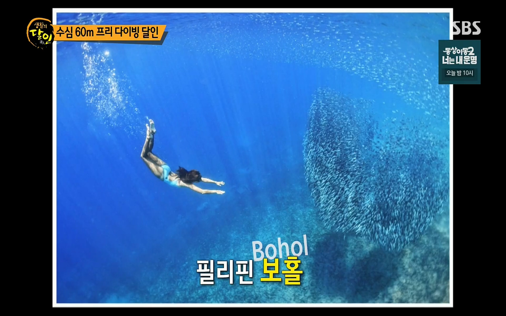 생활의 달인.E849.220627p.H264-F1RST.mp4_20220628_201154.557.jpg