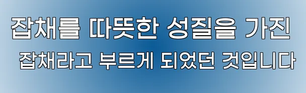잡채를 따뜻한 성질을 가진 잡채라고 부르게 되었던 것입니다