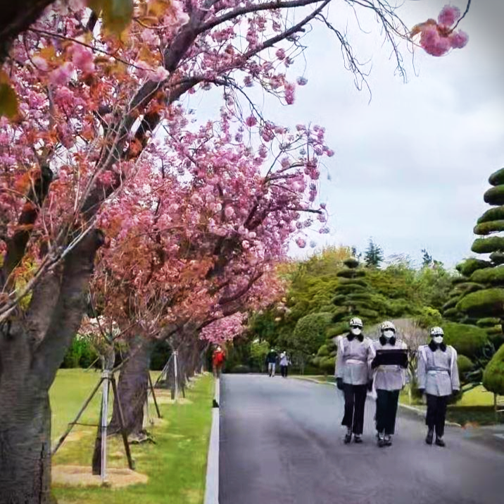 유엔기념공원