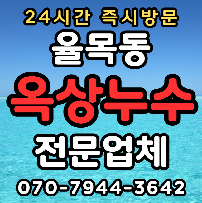 율목동 외벽누수1