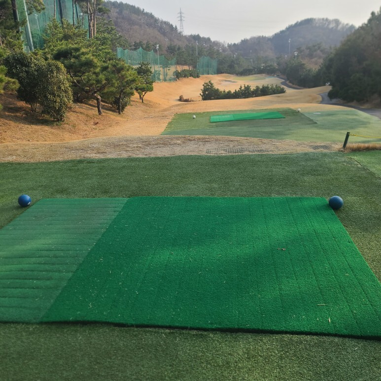 쌍마 이미지