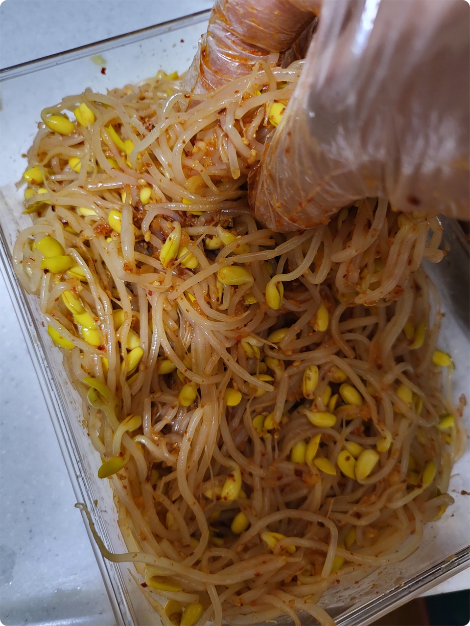  콩나물 팍팍 무쳤냐~? 엄청 간단하게 만들어 먹을수 있는 콩나물 무침~
