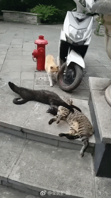  [웃는하루]불륜의 현장