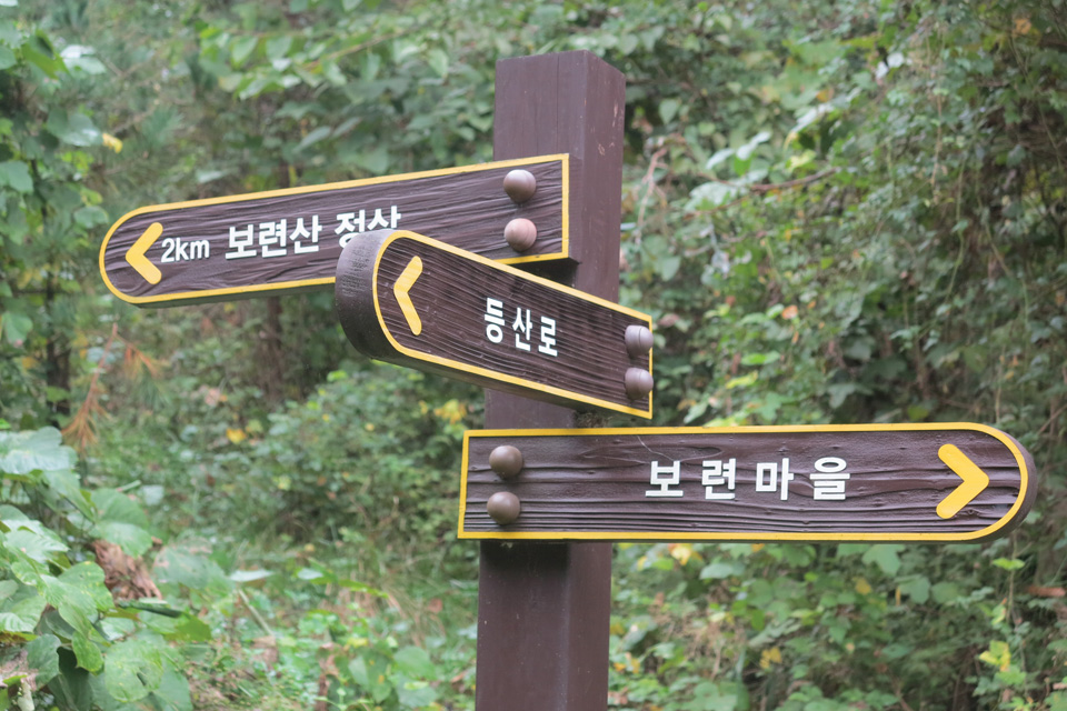 충주 보련산