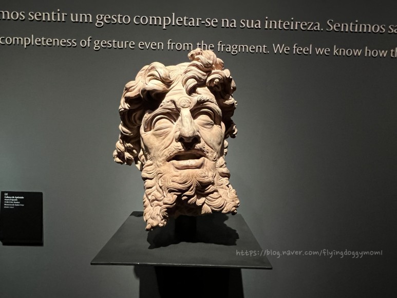 1세기는 포르투갈] 1세기 로마시대 지하 회랑을 경험할수 51