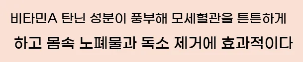  (2) 비타민A, 탄닌 성분이 풍부해 모세혈관을 튼튼하게 하고 몸속 노폐물과 독소 제거에 효과적이다.