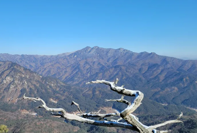  [100대 명산] 평창군, 영월군 백덕산 교통수단과 등산코스, 근처 관광지 총정리
