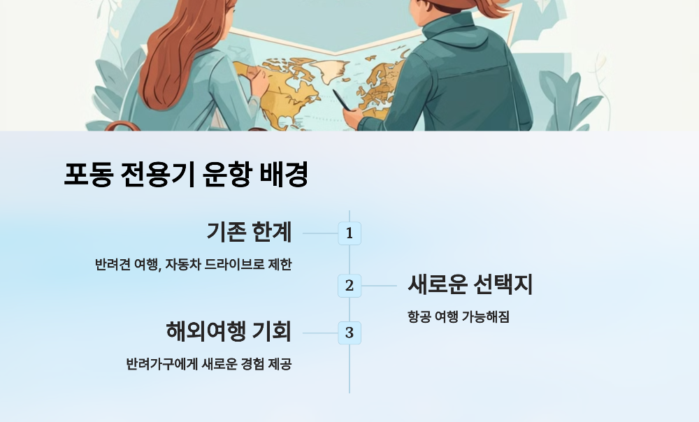 포동 전용기의 운항 배경