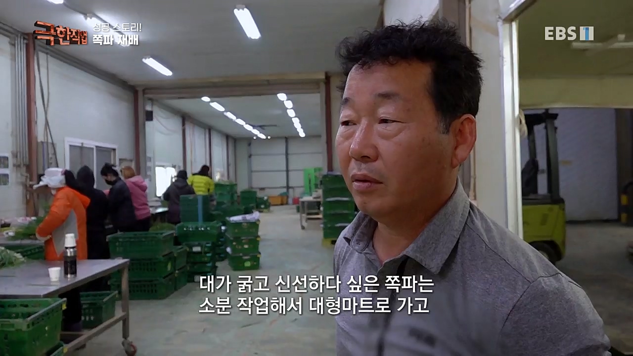 TV - 교육의 중심 EBS성공 스토리! 쪽파 재배와 과일 도매.mp4_20221209_203554.429.jpg