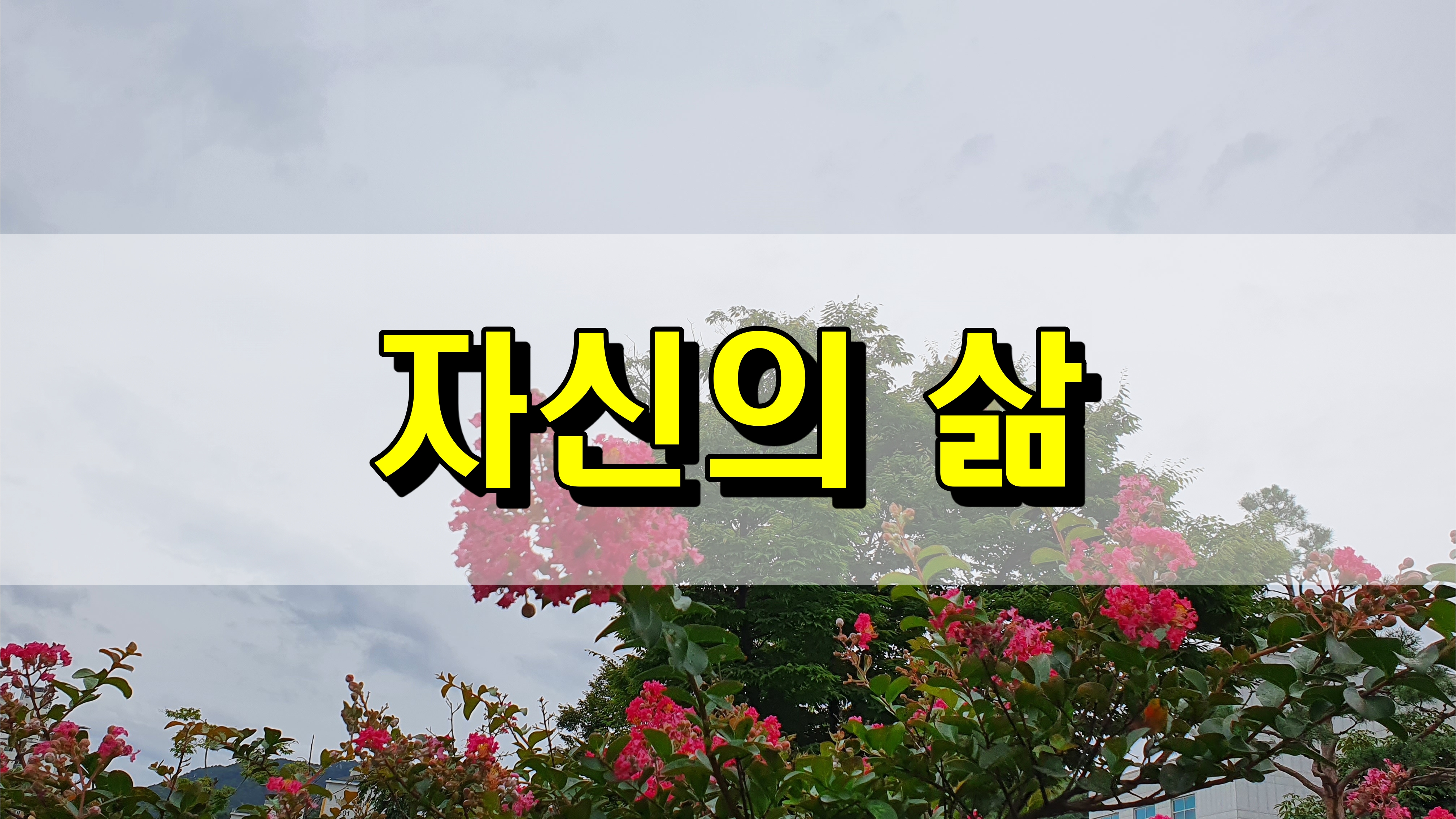  자신의 삶 [성장 명언]
