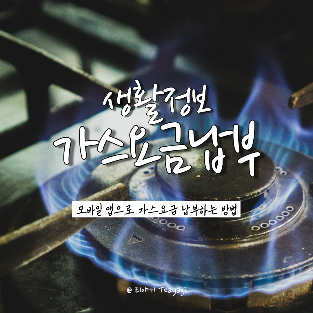 제주 Jeju | 제주도 가스요금 온라인 납부 방법 총정리 (feat. 모바일지로 앱 사용 방법)