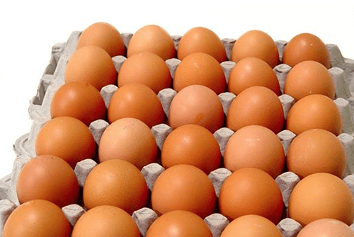 계란02