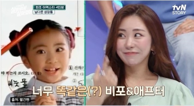 미달이 이미지