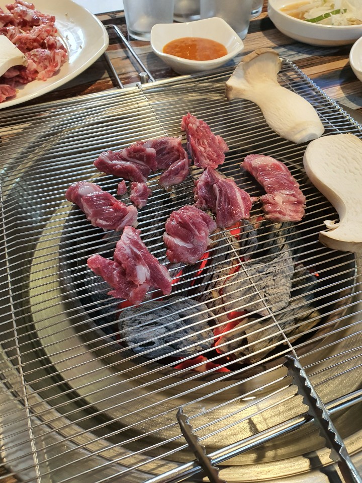꽃돼지갈매기 이미지