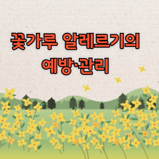 꽃가루 알레르기 예방 관리