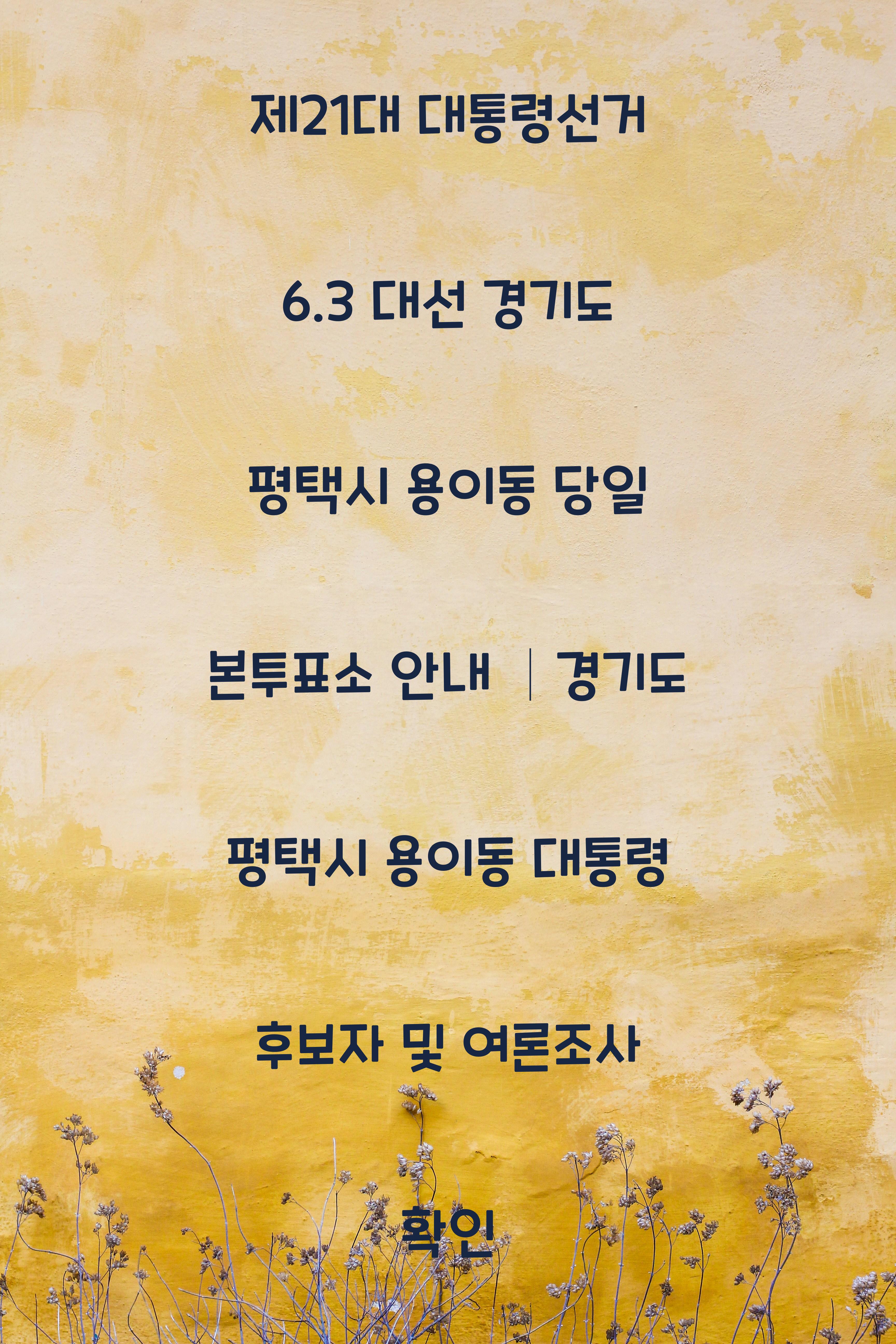 제21대 대통령선거 6.3 대선 경기도 평택시 용이동 당일 본투표소 안내 │경기도 평택시 용이동 대통령 후보자 및 여론조사 확인