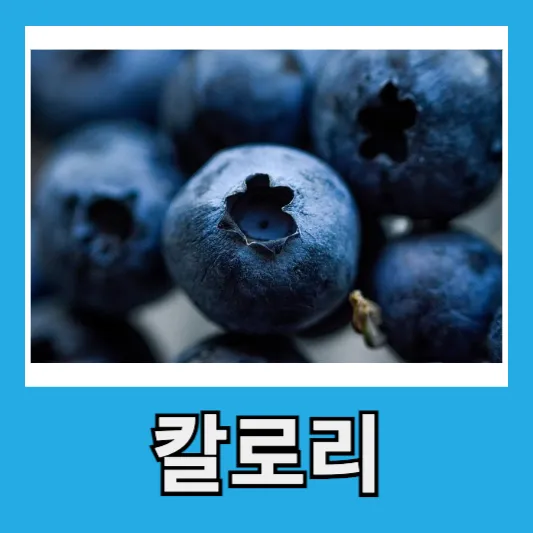 냉동 블루베리 칼로리