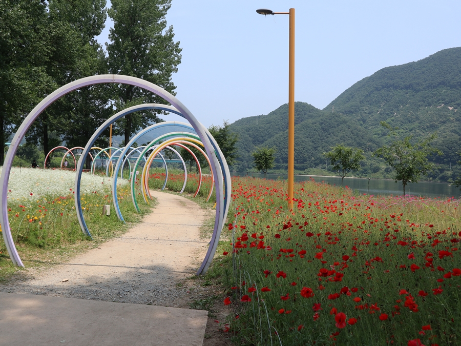 북한강변-꽃길