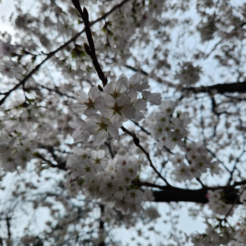 충주댐-순환-산책로