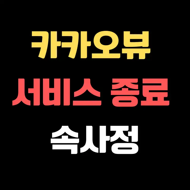 카카오뷰 서비스 종료 썸네일