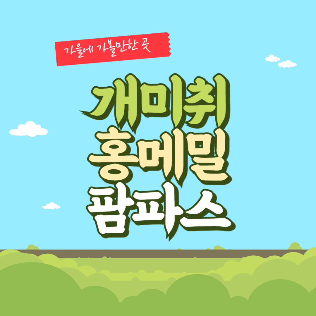 개미취 홍메밀 팜파스