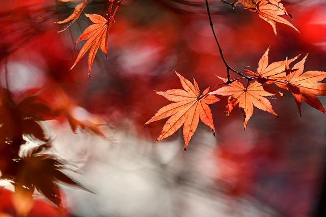 blog-image