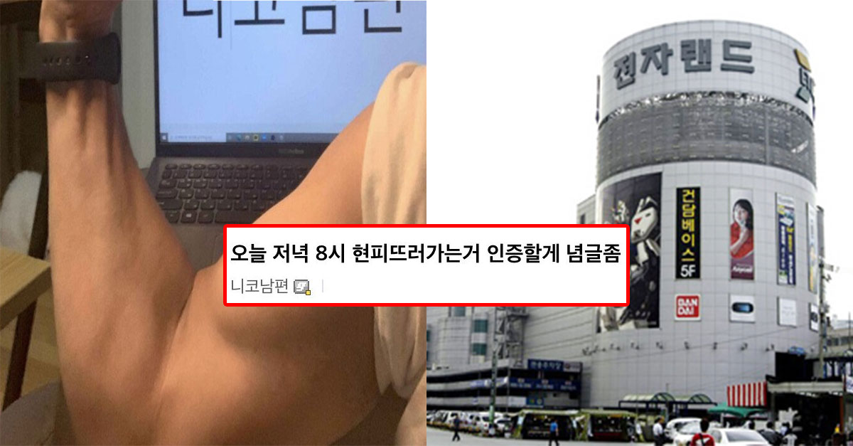  용팔이와 싸우러 간다고 선전포고한 디씨인