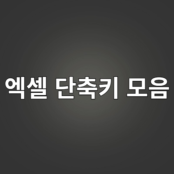  [업무 가이드] 엑셀 단축키 모음(윈도우)