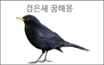 검은새 꿈해몽