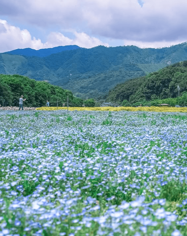 상림공원