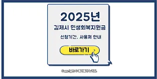 민생지원금 25만원