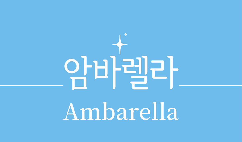 &#39;암바렐라(Ambarella)&#39;