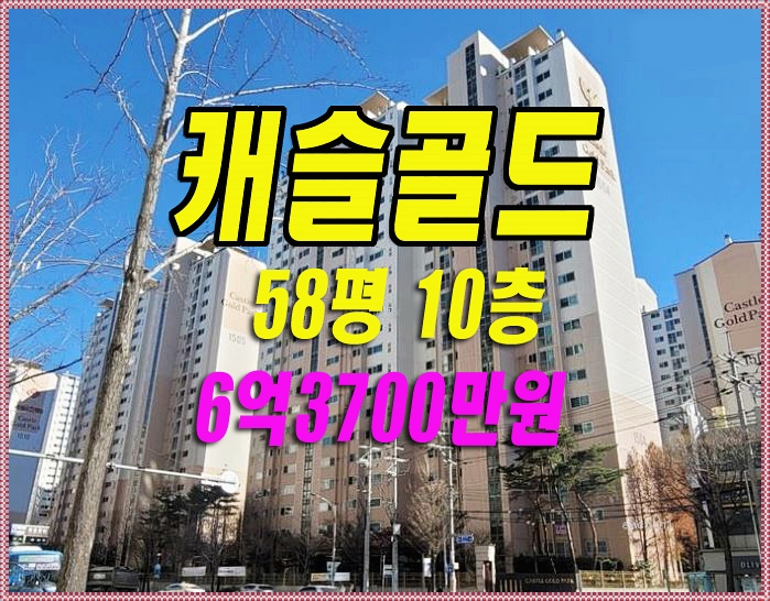  대구 수성구 황금동 캐슬골드파크5단지 아파트 경매 58평 대구경매 대구아파트급매