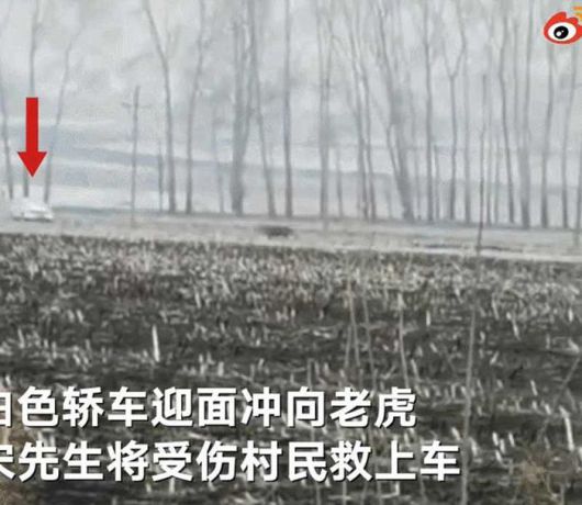   뚜뚜월드