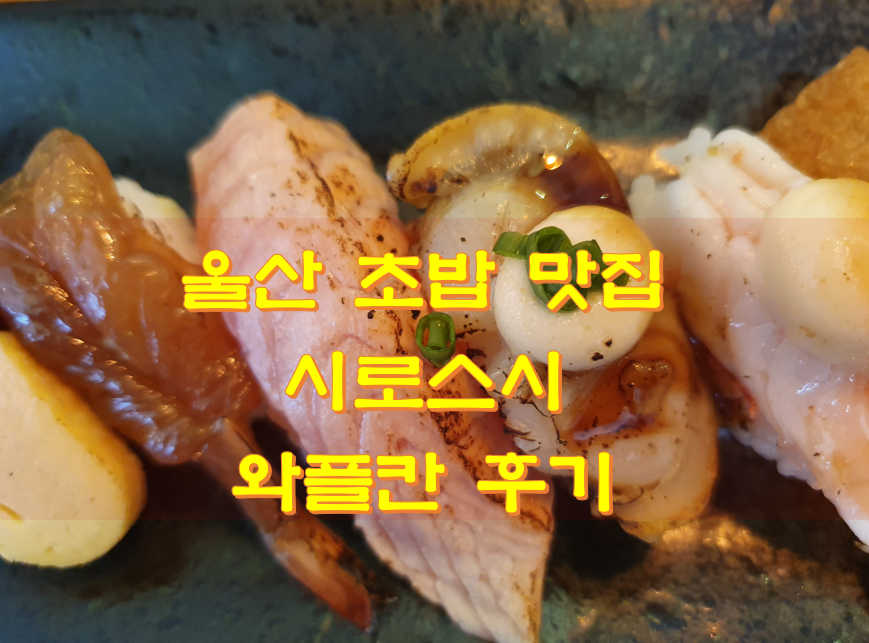  울산 초밥 맛집 시로스시 와플칸 후기