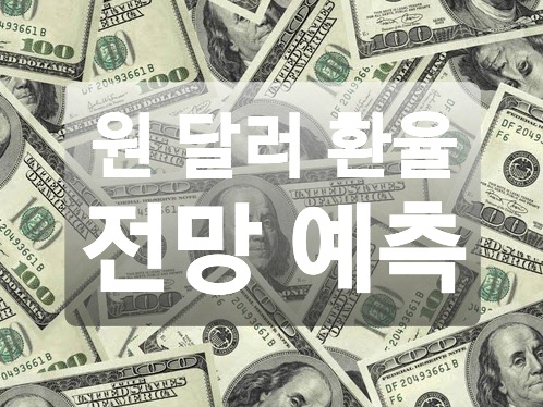  원 달러 환율 전망 괜찮을까? (최신 분석)