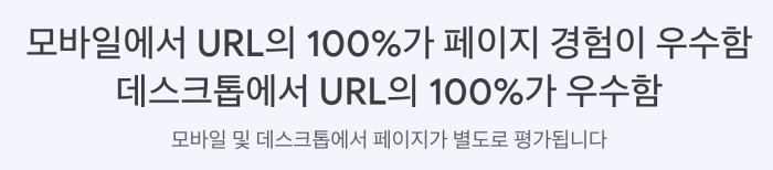 모바일과 데스크톱 환경 모두 100% 페이지 경험 우수