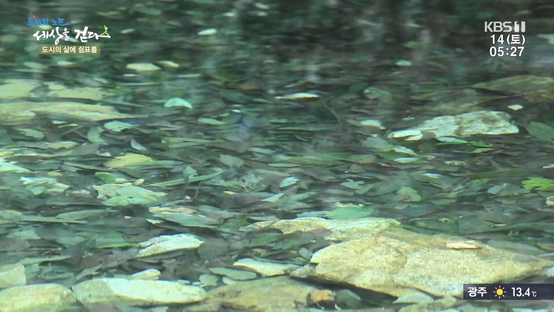 트레킹노트 세상을 걷다.E290.231014p.H264-F1RST.mp4_20231014_181401.745.jpg